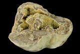 Yellow Crystal Filled Septarian Geode - Utah #157073-2